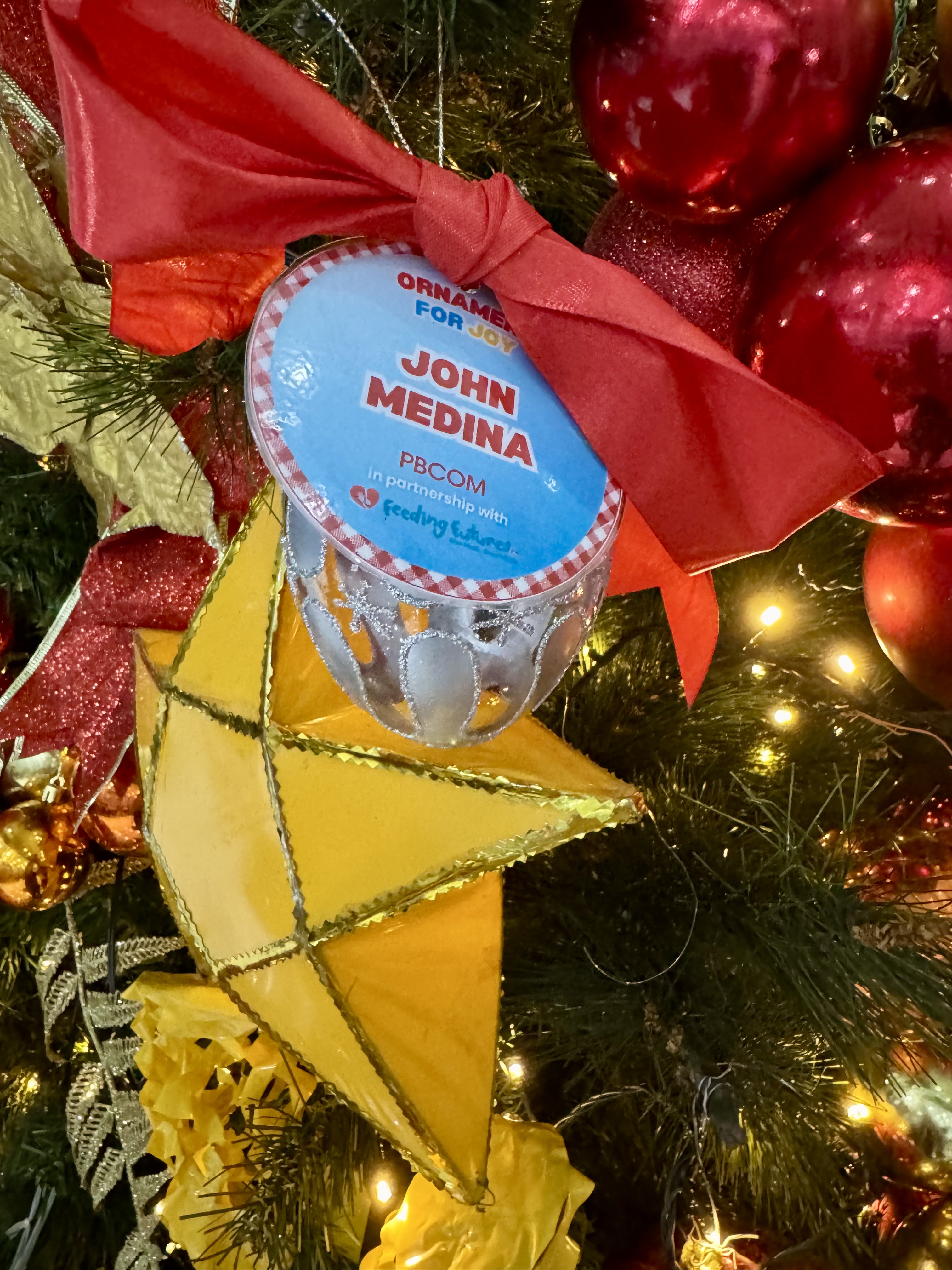 A personalized ornament hanging on the tree.