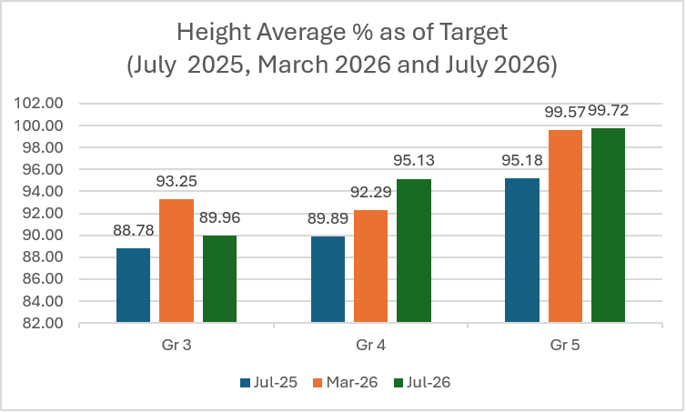 Average height as a percentage of the target