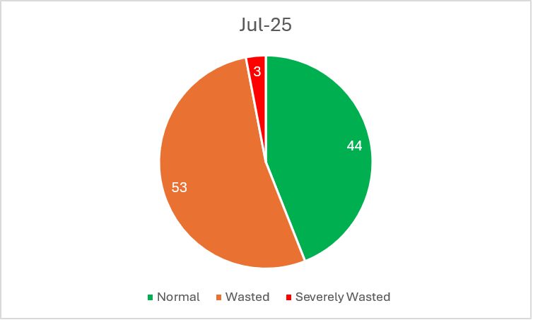 July 2025 BMI category mix of normal, wasted, and severely wasted students